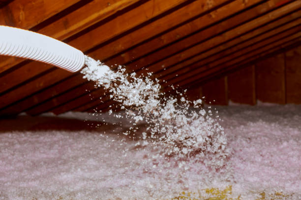 Best Insulation Maintenance and Repair in North Windham, ME